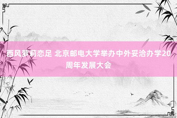 西风萝莉恋足 北京邮电大学举办中外妥洽办学20周年发展大会