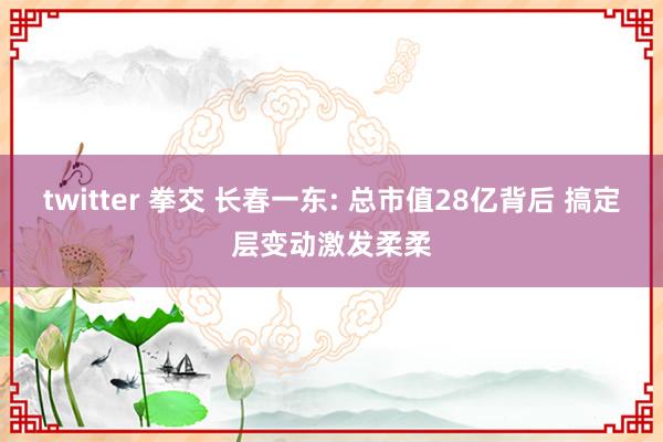 twitter 拳交 长春一东: 总市值28亿背后 搞定层变动激发柔柔