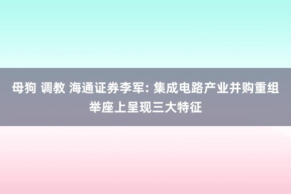 母狗 调教 海通证券李军: 集成电路产业并购重组举座上呈现三大特征