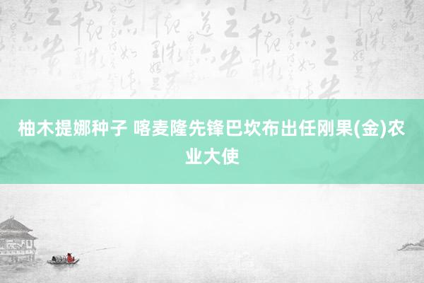 柚木提娜种子 喀麦隆先锋巴坎布出任刚果(金)农业大使