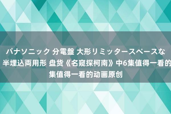 パナソニック 分電盤 大形リミッタースペースなし 露出・半埋込両用形 盘货《名窥探柯南》中6集值得一看的动画原创