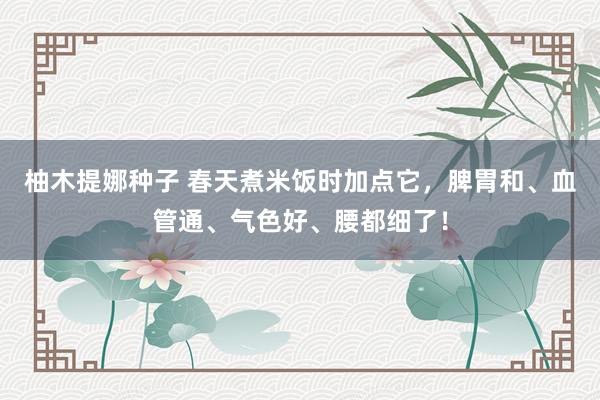 柚木提娜种子 春天煮米饭时加点它,脾胃和、血管通、气色好、腰都细了!